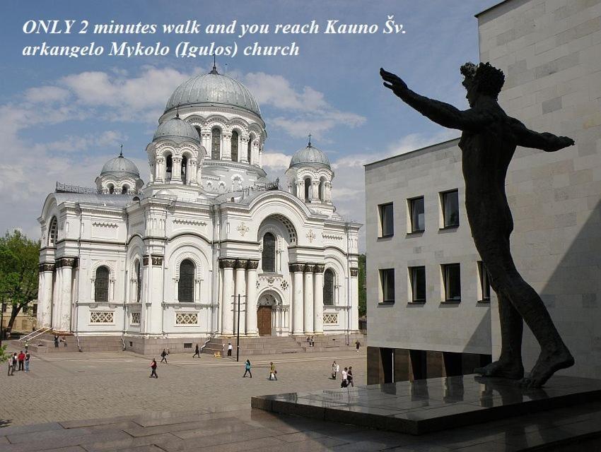 Apartamentai Kauno Centre Kaunas Extérieur photo